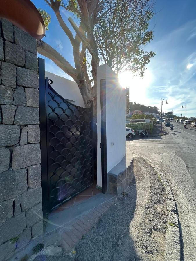 Smeraldino Lacco Ameno  Esterno foto